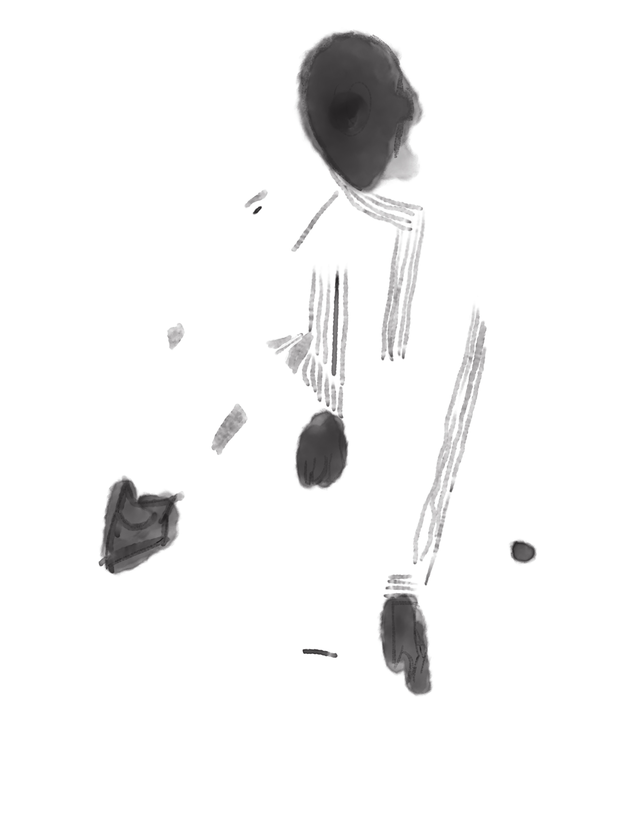 Image 13
