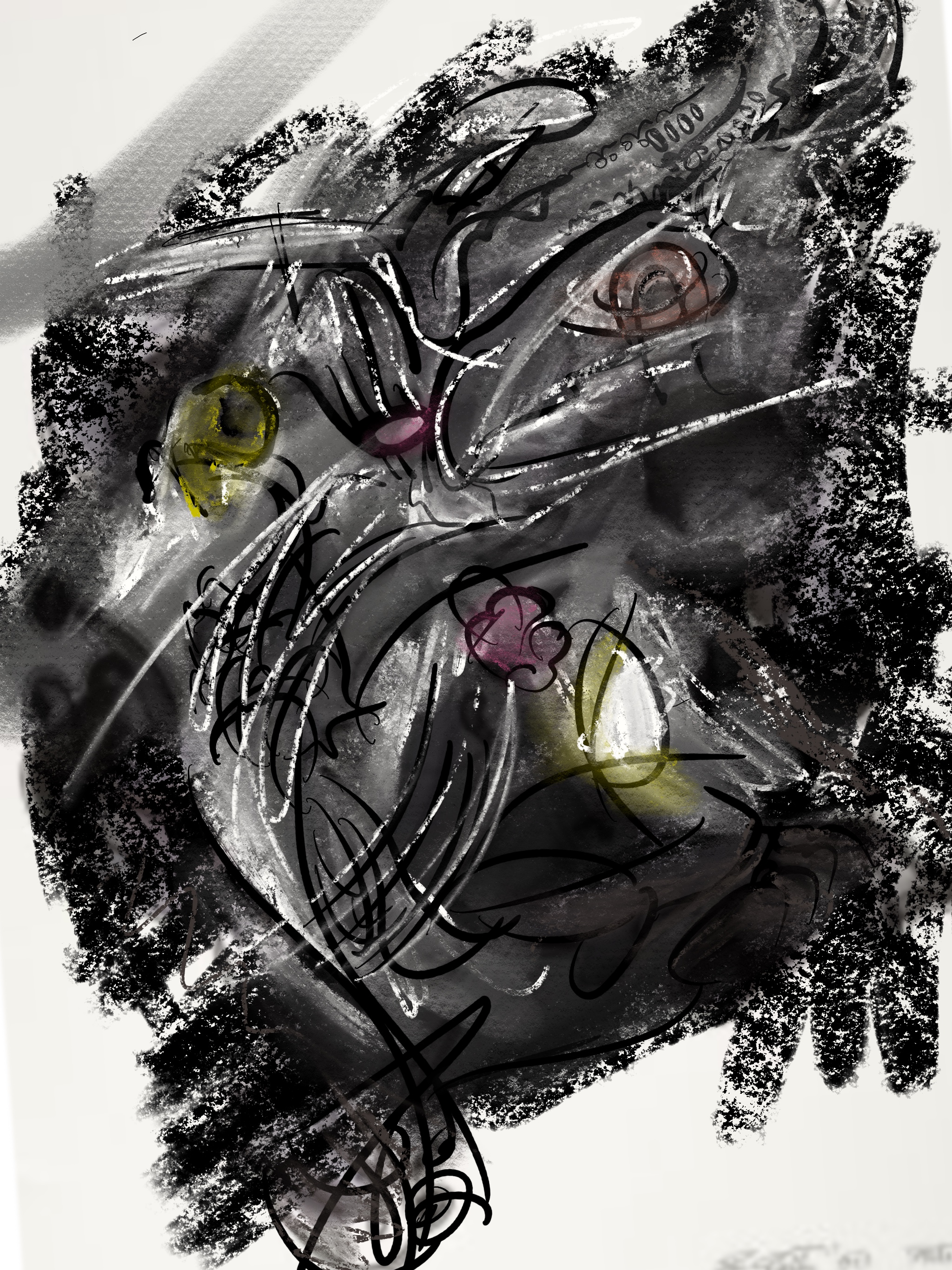 Image 26