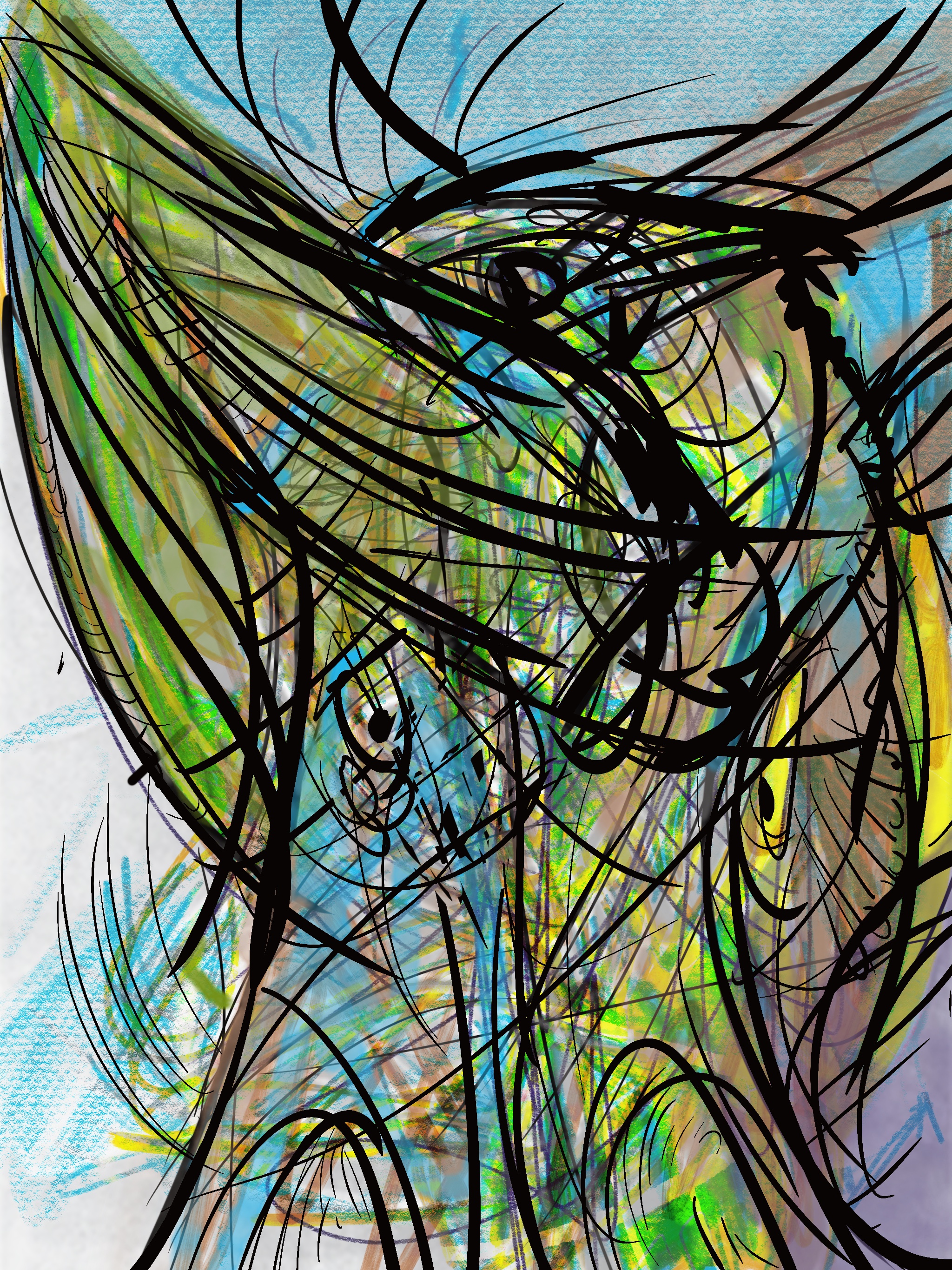Image 31