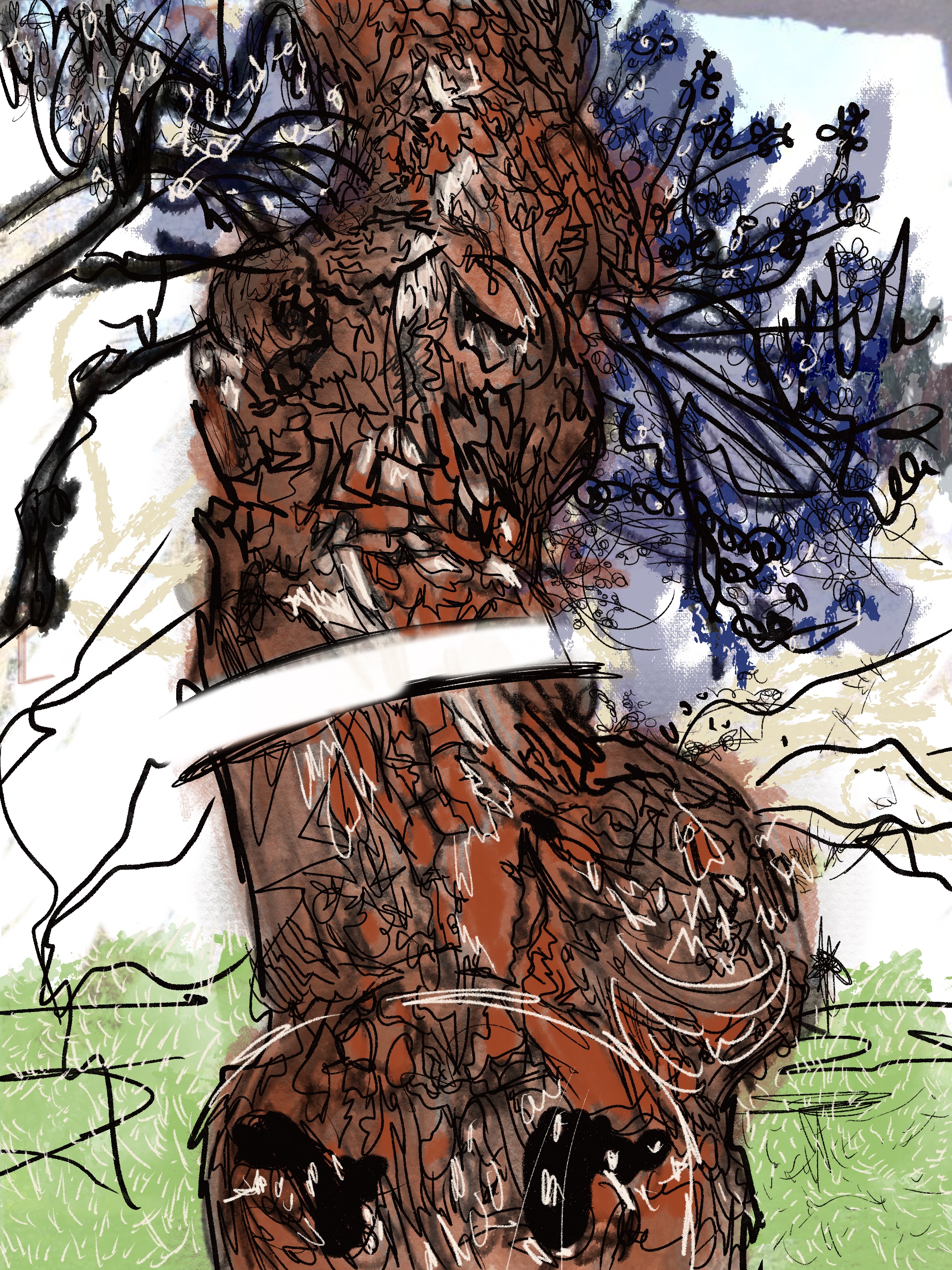 Image 32