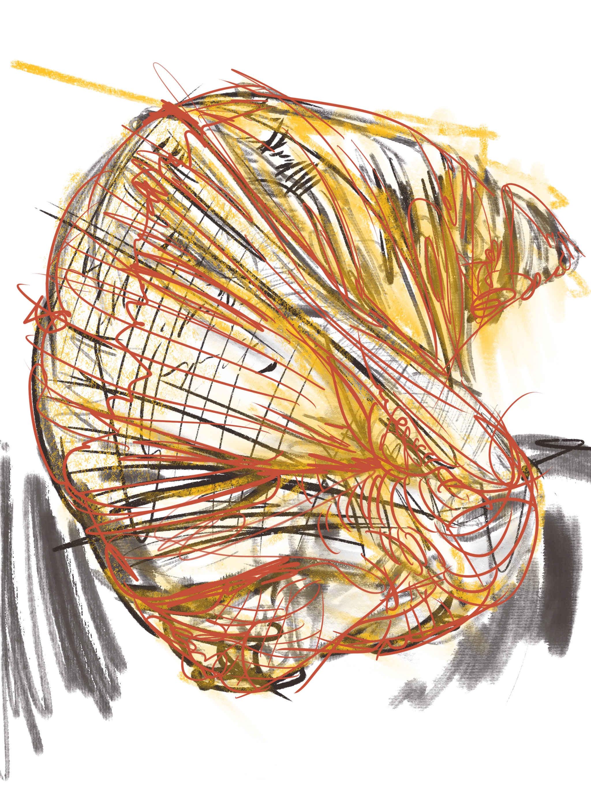Image 33