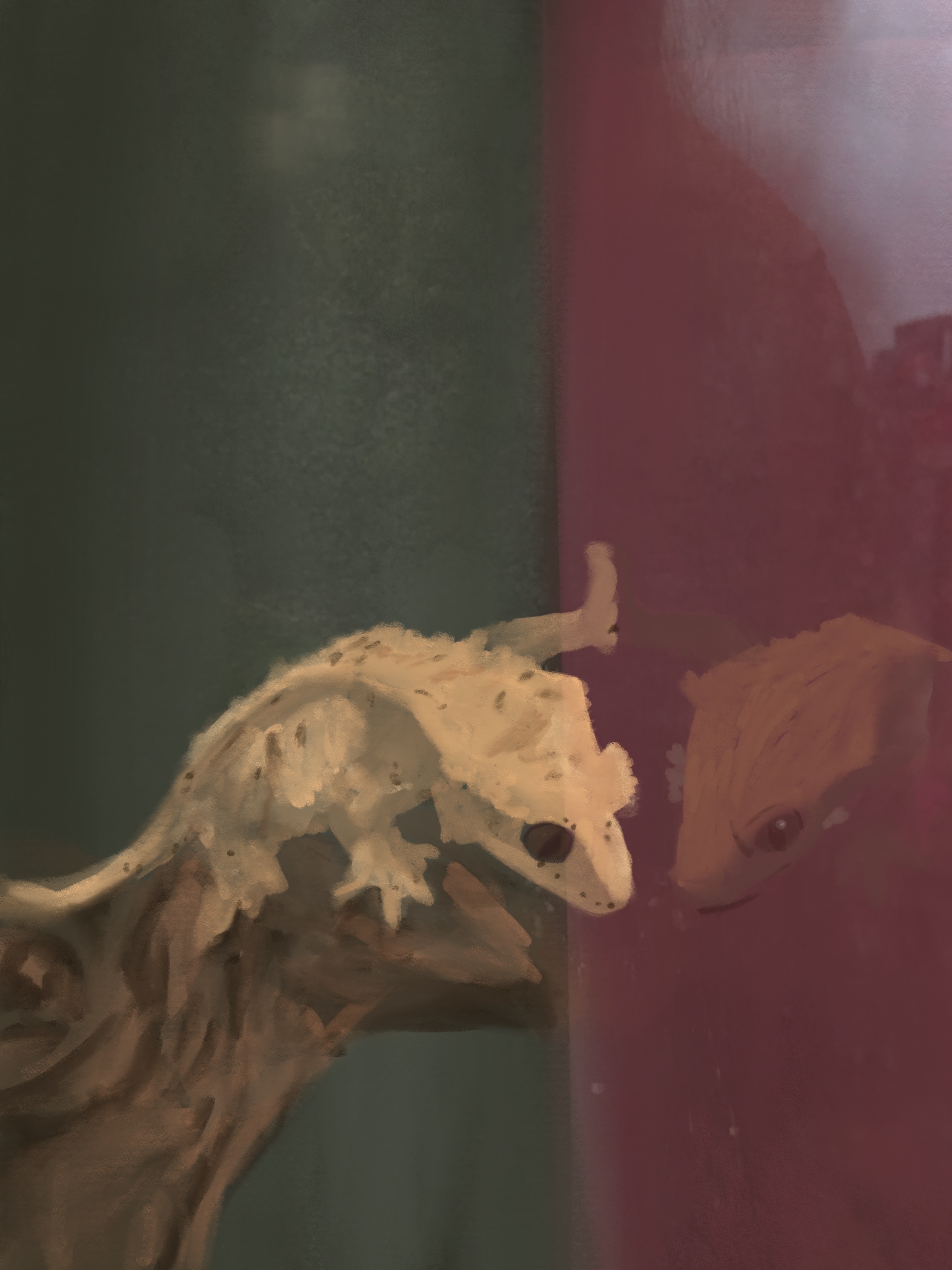 Image 36