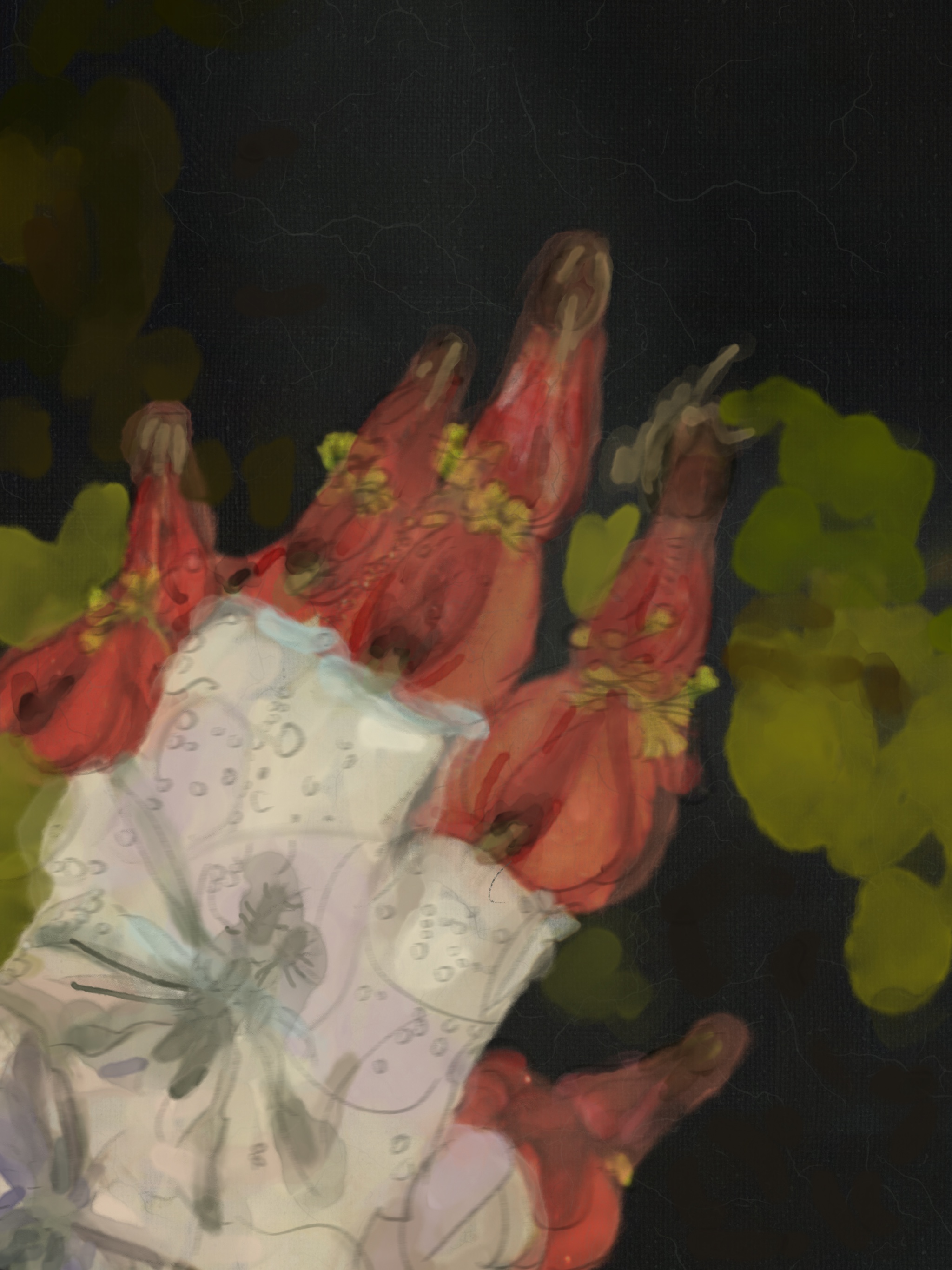 Image 37