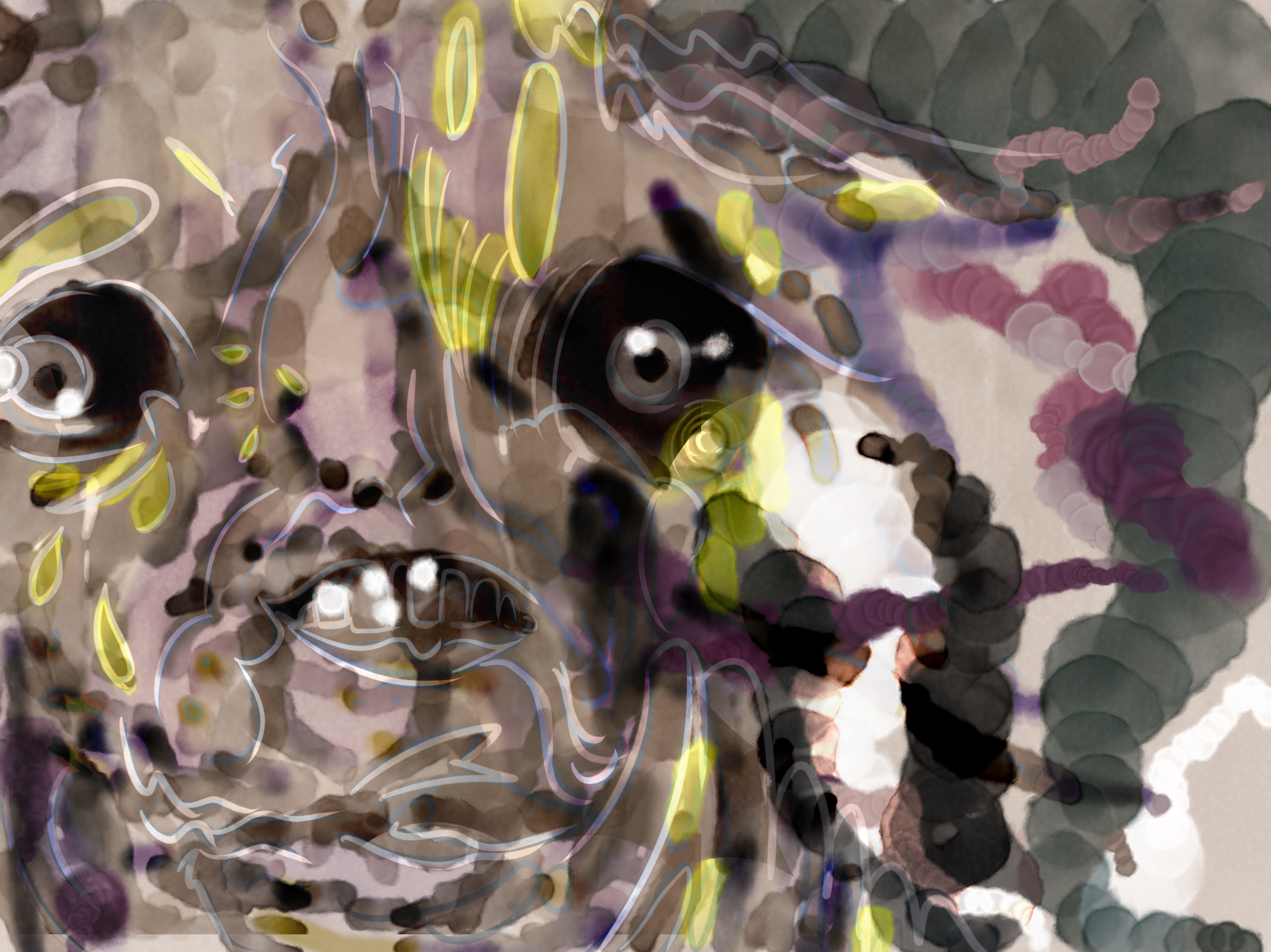 Image 39